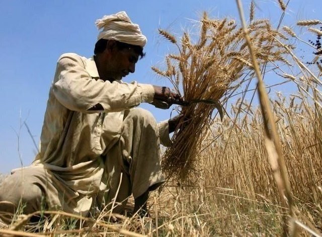 Decision to introduce warehouse finance scheme for farmers