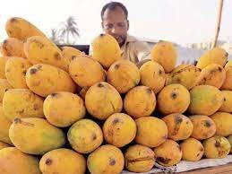 Mango exporters uncertain over Corona sanctions