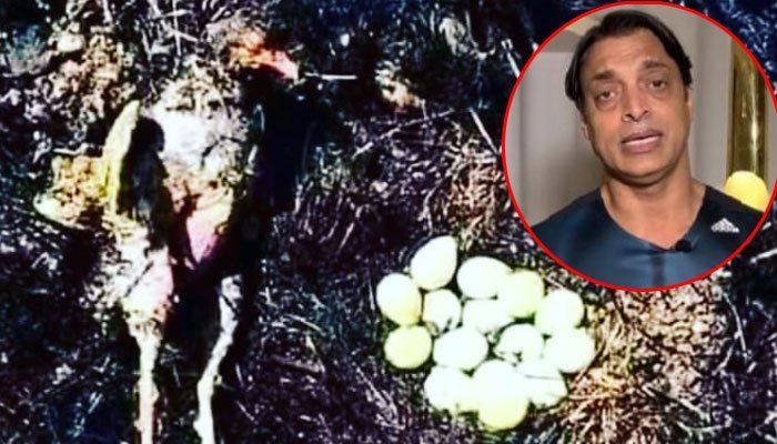 "She could have run away but she didn't run away", an emotional message from Shoaib Akhtar