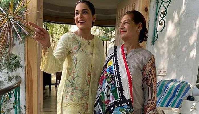 257632 7719966 updates