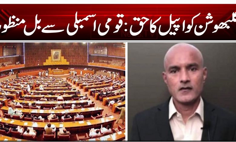 کلبھوشن کو اپیل کا حق: قومی اسمبلی سے بل منظور 1 654df654dsf54df654df54 1 01 212 121 0 0 121 20 1201