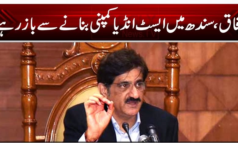 Murad Ali Shah 654546546 00000000001111111111sd
