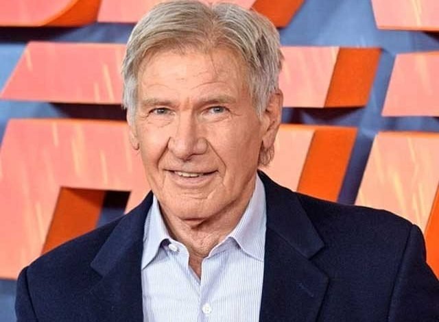 Harrison Ford was injured during the shooting of the film