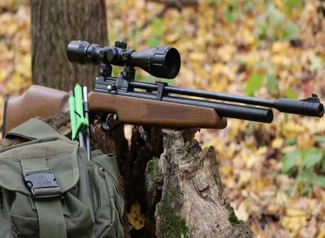 Wildlife hunting banned by PCP Airgun
