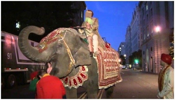 The angry elephant destroyed the wedding party, forcing the groom to flee