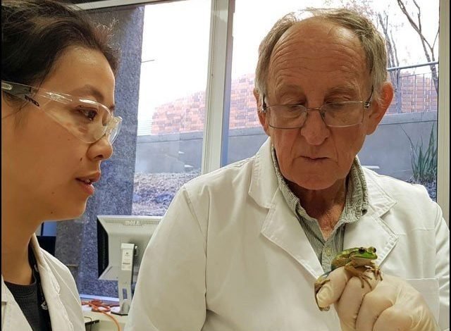 These scientists are experts at talking to frogs "trotting"!