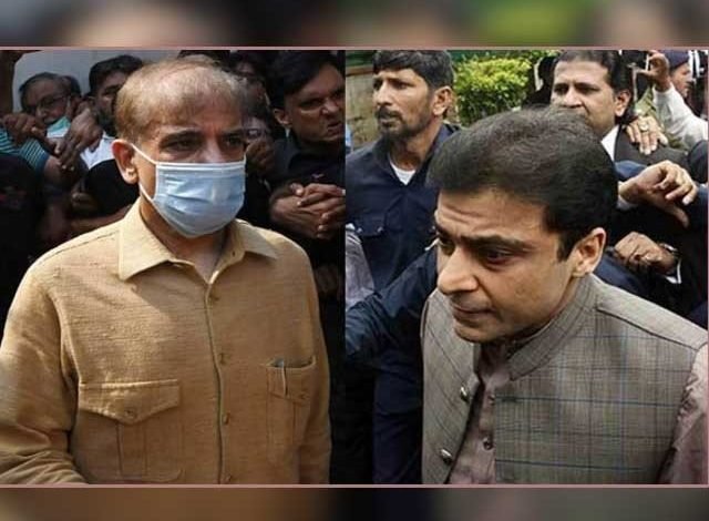 Interim bail granted to Shahbaz Sharif and Hamza Shahbaz