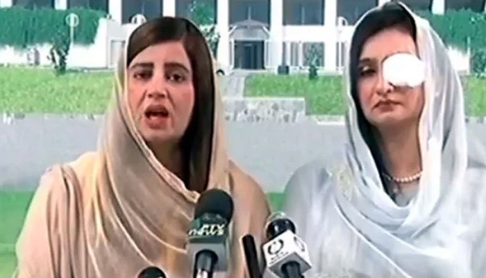 ن لیگ ہلڑبازی کئ ذمہ دار 1 PML-N is responsible for many riots