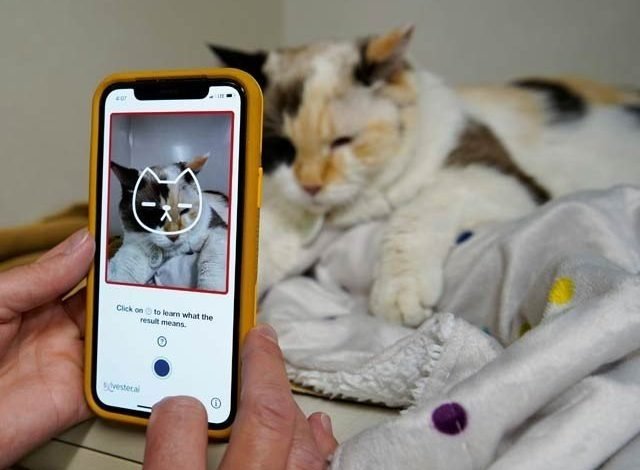 2206573 tablymain 1627414455 979 640x480 1