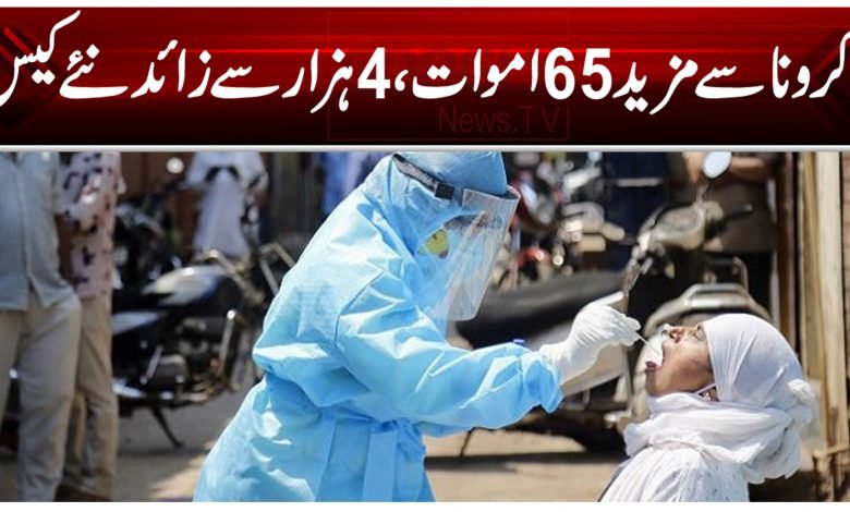 کرونا سے مزید 65 اموات، 4 ہزار سے زائد نئے کیس 1 Corona Thumb 8