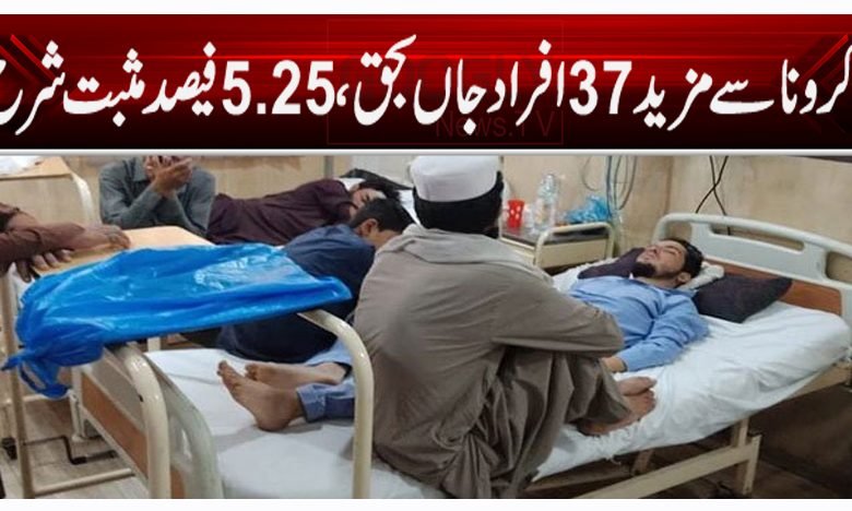 کرونا سے مزید 37 افراد جاں بحق،مثبت شرح 5.25 فیصد 1 Corona Virus New Temp