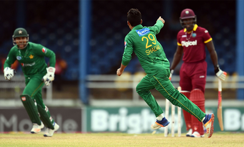 Cricket