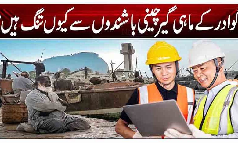 گوادر کے ماہی گیر چینی باشندوں سے کیوں تنگ ہیں؟ 1 1 177