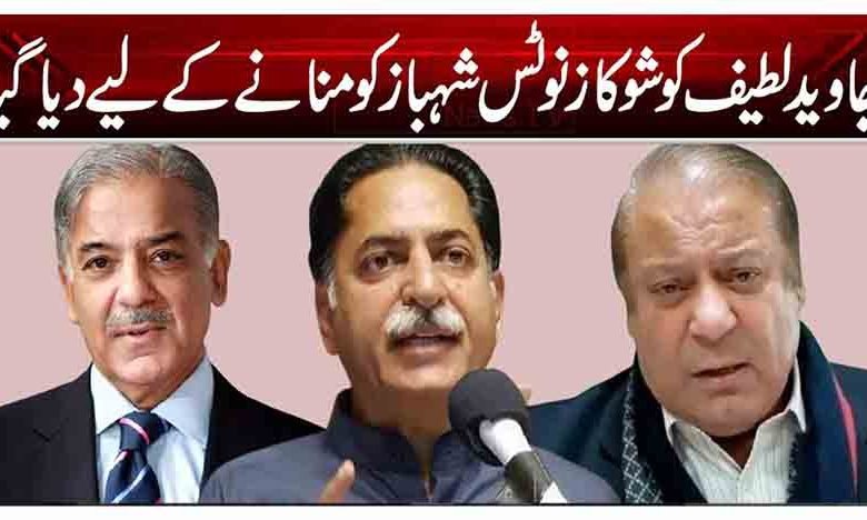 جاوید لطیف کو شوکاز نوٹس شہباز کو منانے کے لیے دیا گیا 1 1 199