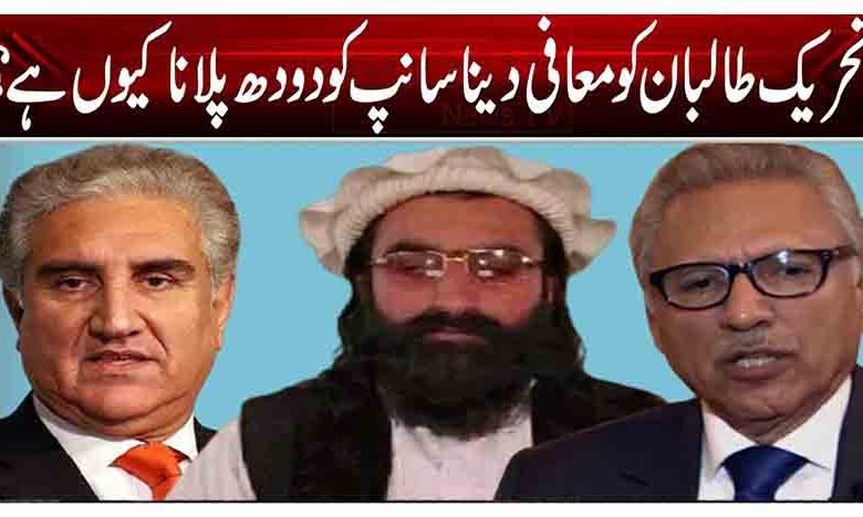 تحریک طالبان کو معافی دینا سانپ کو دودھ پلانا کیوں ہے؟ 1 1 219