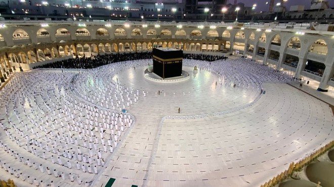 1216956 552319442