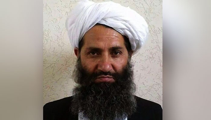 262947 7141369 updates