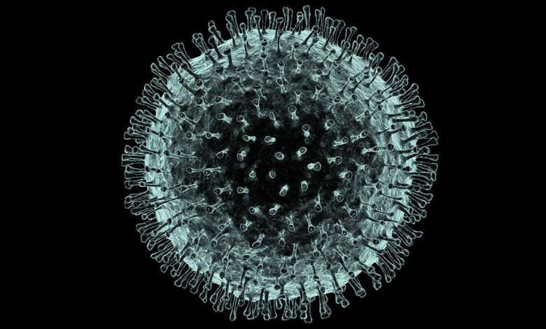 f0070229 coronavirus artwork spl