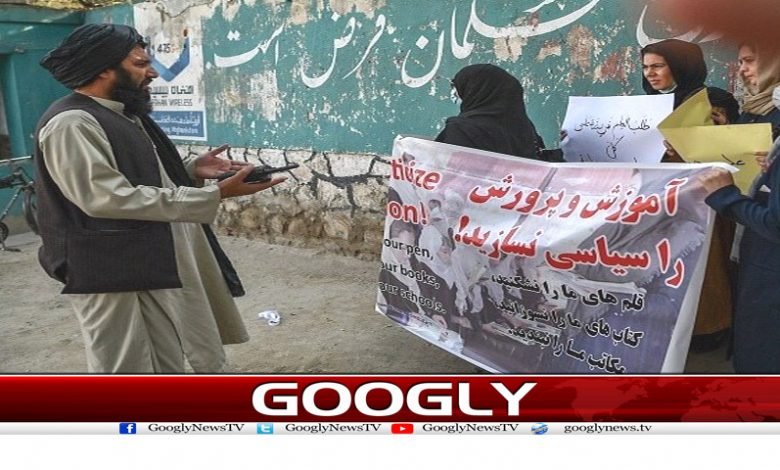 Wusatullah Khan Column in Urdu