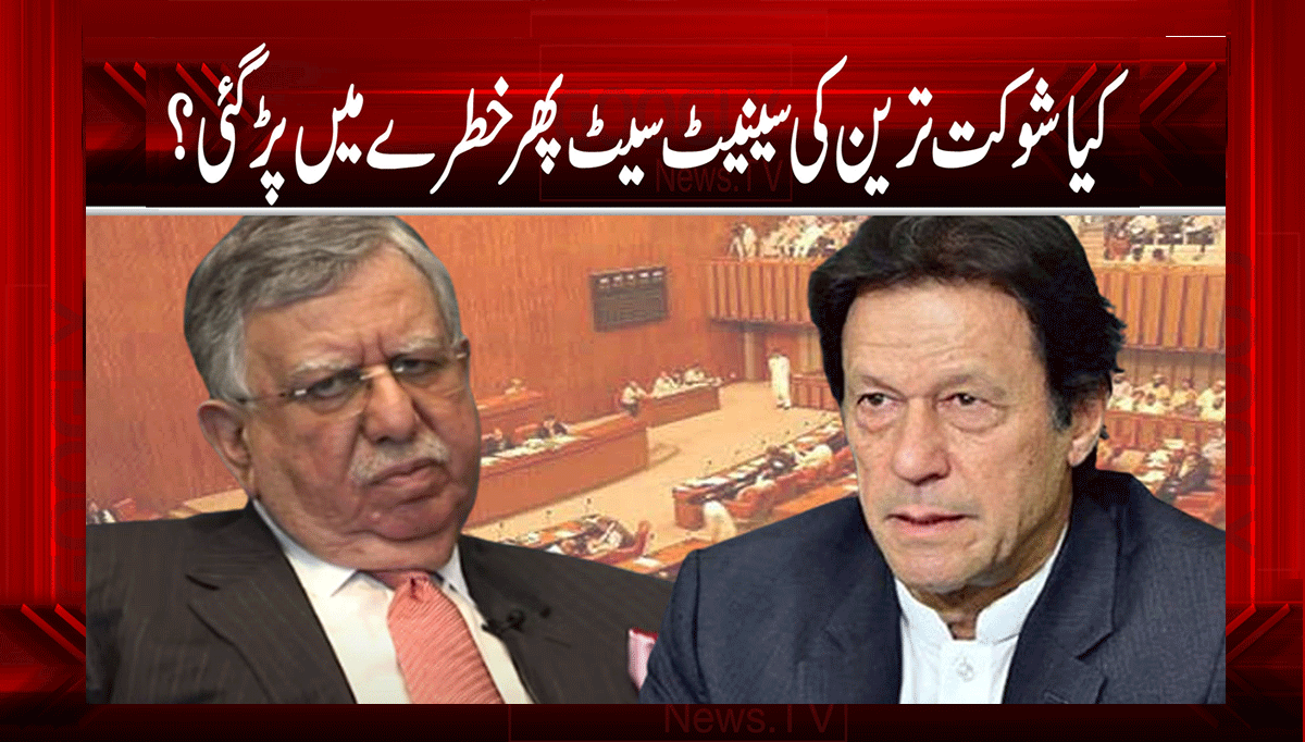 کیا شوکت ترین کی سینیٹ سیٹ پھر خطرے میں پڑ گئی 1 1 68