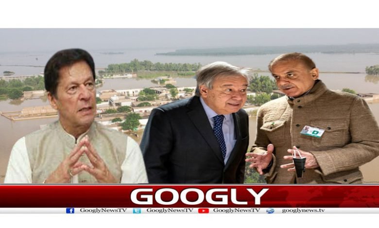 Pakistan Famous Columnist