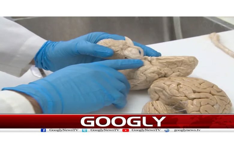 Health Articles in Urdu