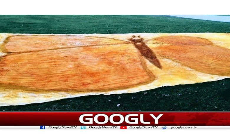 Canadian Artist World Record