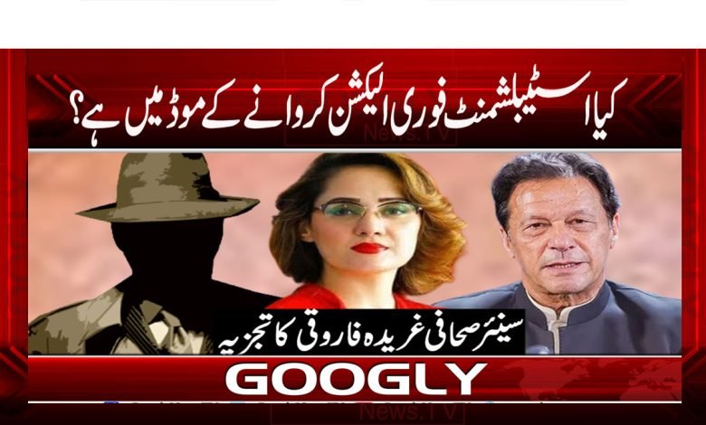 Experience Of Gharida Farooqi