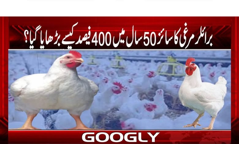 Business News in Urdu