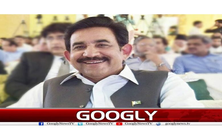 Saiful Malook appointed President PMLN