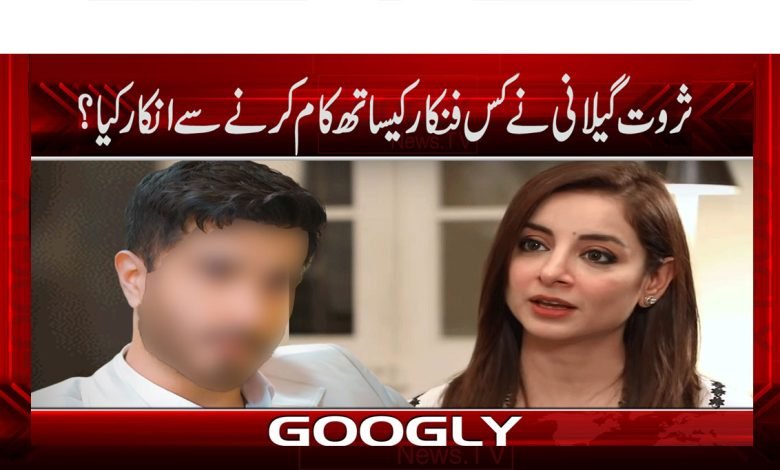 Sarwat Gilani Refuse Work With Artist