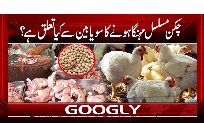 Business News in Urdu