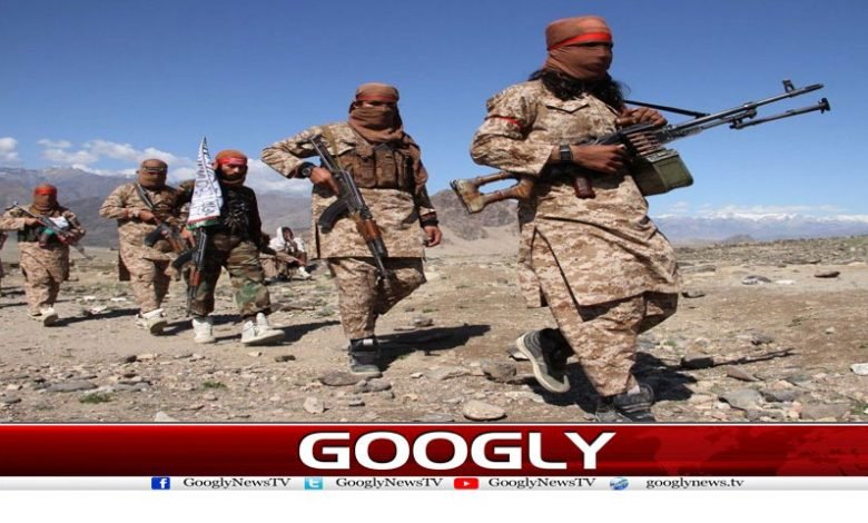 Pakistan Famous Columnist