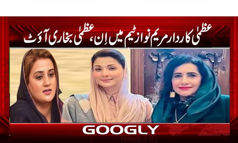 PLMN News in Urdu