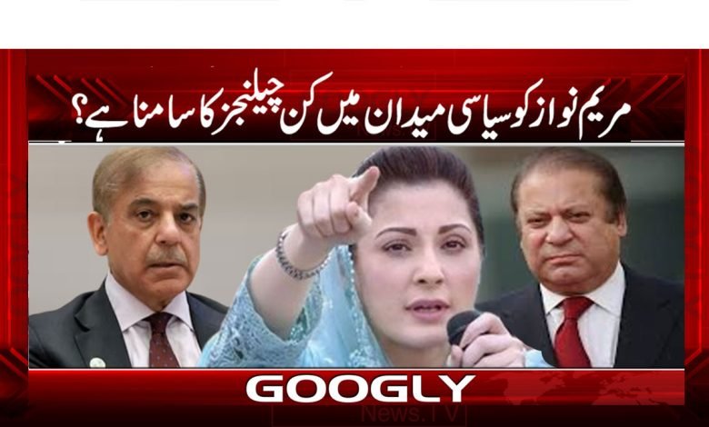 PLMN News in Urdu