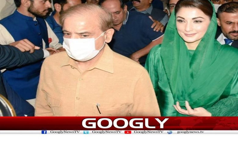 PLMN Latest News in Urdu
