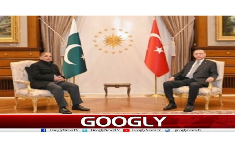 Shahbaz Sharif met Turkish President