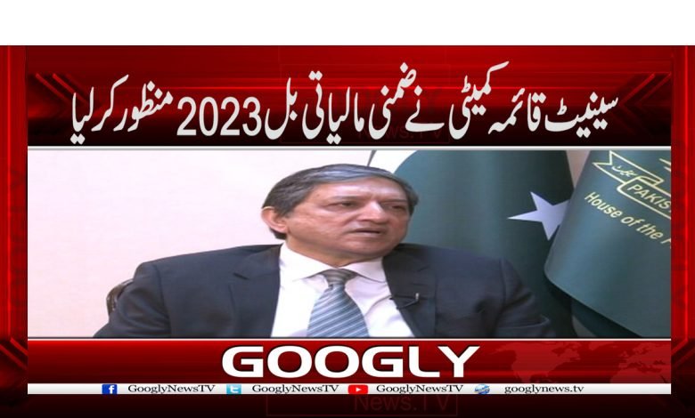 سینیٹ قائمہ کمیٹی نے ضمنی مالیاتی بل2023 منظورکرلیا 1 Supplementary Finance Bill 2023 Passed