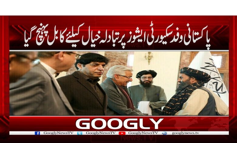 Pakistani delegation reached Kabul News