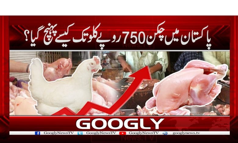 Chicken Price Increase News