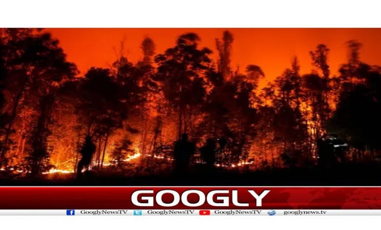 chile fire
