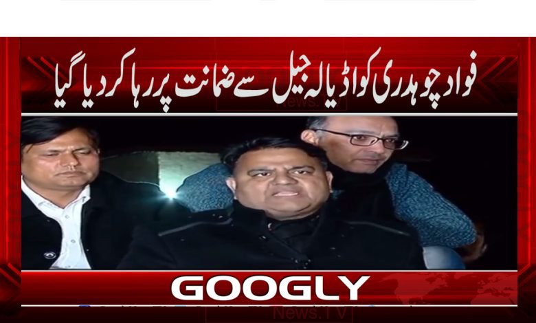 فواد چوہدری کو اڈیالہ جیل سے ضمانت پررہا کر دیا گیا 1 Political News in Urdu