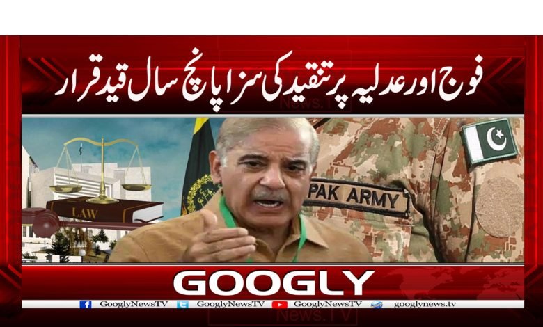 فوج اور عدلیہ پر تنقید کی سزا پانچ سال قیدقرار 1 govt