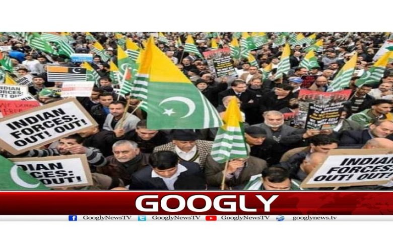 Kashmir Day Celebration