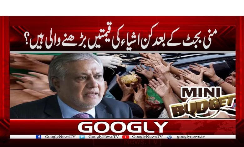 Mini Budget 2023 in Urdu