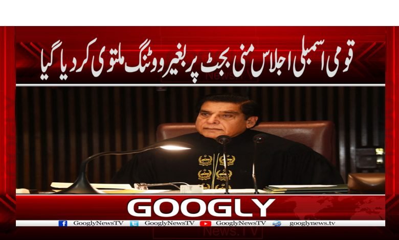 Mini Budget News in Urdu