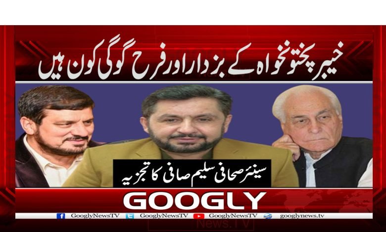 خیبر پختونخواہ کے بزدار اور فرح گوگی کون ہیں 1 saleem safi 2