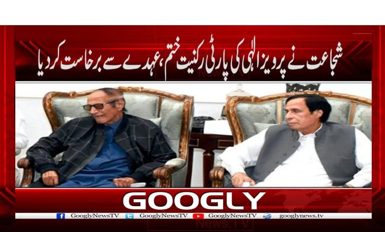 Parvez Elahi News in Urdu