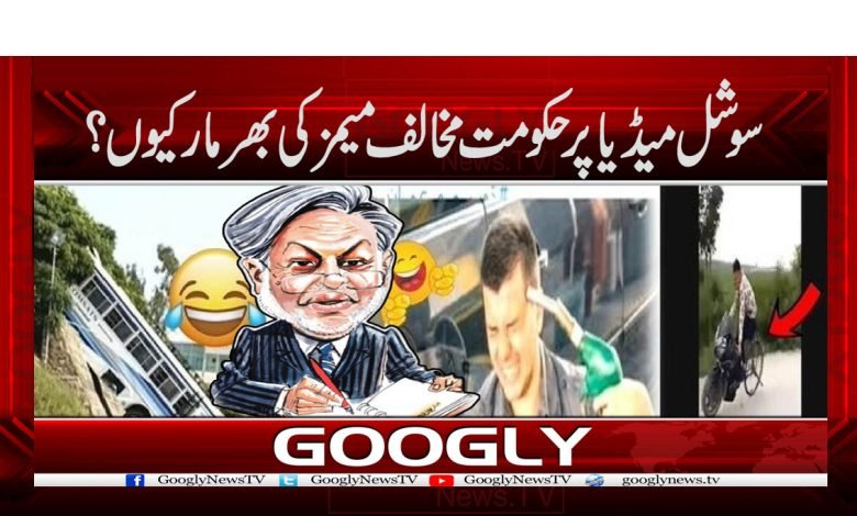 Anti-Government Memes on Social Media