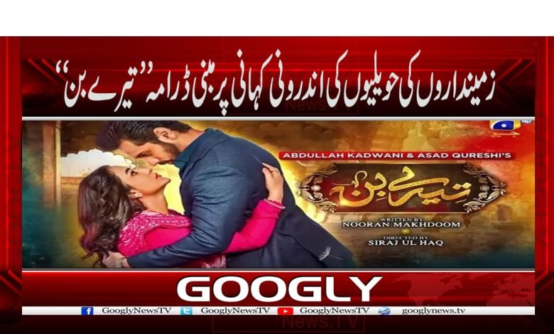 Tere Bin Drama Viral News in Urdu